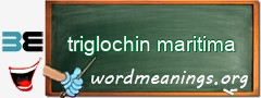 WordMeaning blackboard for triglochin maritima